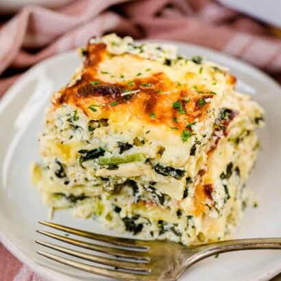 Chicken alfredo Lasagna